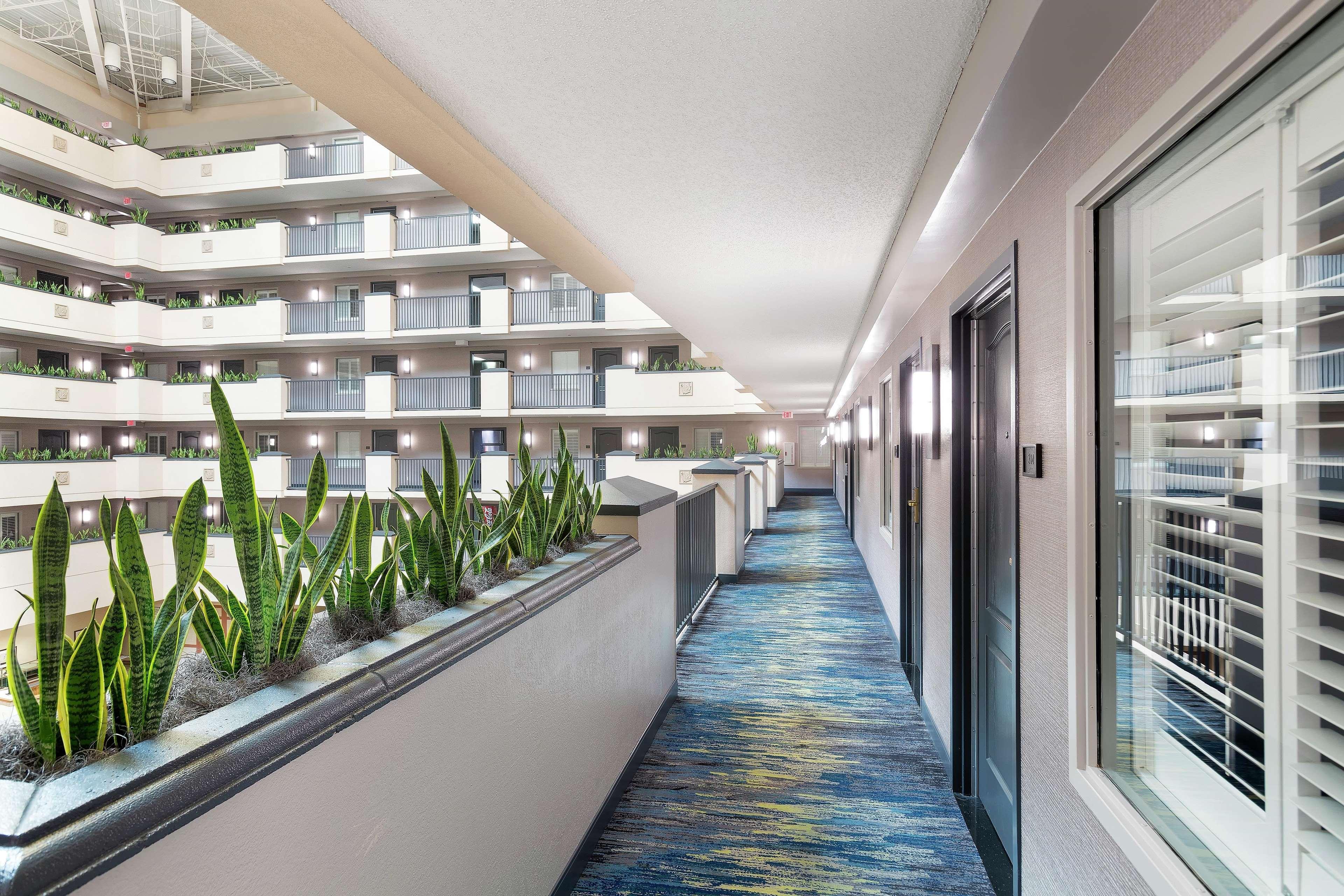 Embassy Suites By Hilton Orlando Airport מראה חיצוני תמונה